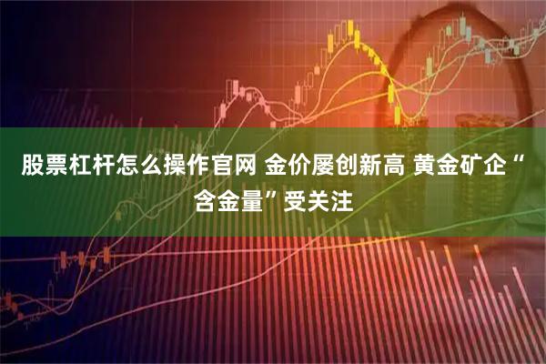 股票杠杆怎么操作官网 金价屡创新高 黄金矿企“含金量”受关注