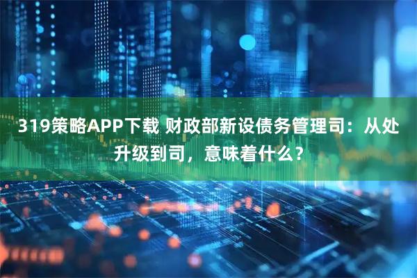 319策略APP下载 财政部新设债务管理司：从处升级到司，意味着什么？