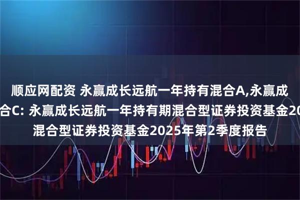 顺应网配资 永赢成长远航一年持有混合A,永赢成长远航一年持有混合C: 永赢成长远航一年持有期混合型证券投资基金2025年第2季度报告