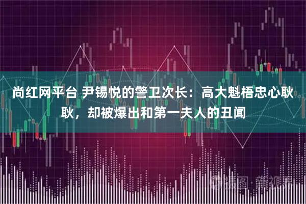 尚红网平台 尹锡悦的警卫次长：高大魁梧忠心耿耿，却被爆出和第一夫人的丑闻